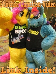 Size: 600x800 | Tagged: safe, fluttershy, rainbow dash, g4, cosplay, fursuit, irl, photo, sunglasses