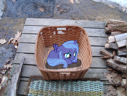 Size: 3072x2304 | Tagged: safe, artist:aetherlordignus, princess luna, g4, adoption, basket, crying, cute, female, filly, firewood, frown, leaves, lying, lying down, mat, ponies in real life, pony in a basket, prone, sad, shadow, solo, spread wings, vector, woona