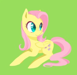 Size: 1198x1162 | Tagged: safe, artist:foxda, fluttershy, pegasus, pony, g4, colored pupils, female, green background, lime background, simple background, smiling, solo