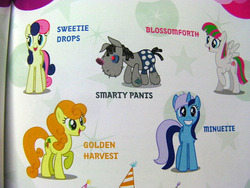 Size: 640x480 | Tagged: safe, blossomforth, bon bon, carrot top, golden harvest, minuette, smarty pants, sweetie drops, earth pony, pegasus, pony, unicorn, g4, official, elements of harmony, guidebook, hat, name, names, party hat, photo, text
