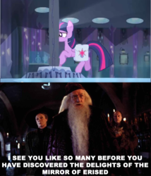 Size: 640x748 | Tagged: safe, edit, edited screencap, screencap, twilight sparkle, equestria girls, g4, my little pony equestria girls, albus dumbledore, argus filch, harry potter (series), humor, image macro, minerva mcgonagall