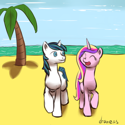 Size: 900x900 | Tagged: safe, artist:draneas, princess cadance, shining armor, g4, beach, happy, honeymoon, ocean