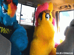 Size: 512x384 | Tagged: safe, fluttershy, rainbow dash, human, g4, animated, car, cosplay, costume, dancing, furry, fursuit, gangnam style, gif, irl, irl human, photo