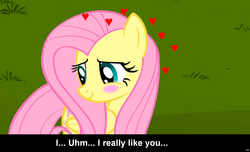 Size: 1600x973 | Tagged: safe, fluttershy, pegasus, pony, g4, blushing, bronybait, caption, cs captions, female, love, mare, solo