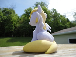 Size: 2592x1944 | Tagged: safe, derpy hooves, pegasus, pony, g4, 3d print, customized toy, female, irl, mare, photo, shapeways, solo