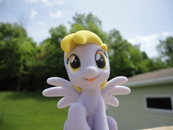 Size: 2592x1944 | Tagged: safe, derpy hooves, pegasus, pony, g4, 3d print, customized toy, female, irl, mare, photo, shapeways, solo