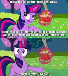 Size: 1280x1440 | Tagged: safe, edit, edited screencap, screencap, twilight sparkle, a canterlot wedding, g4, caption, female, image macro, parody, quote, sandwich, sandwich armor, solo, the princess bride