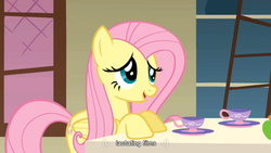 Size: 854x480 | Tagged: safe, screencap, fluttershy, a bird in the hoof, g4, female, solo, youtube caption
