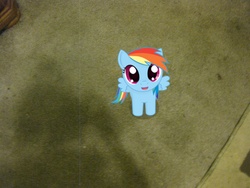 Size: 3648x2736 | Tagged: safe, rainbow dash, g4, cute, female, filly, filly rainbow dash, ponies in real life, pov, solo