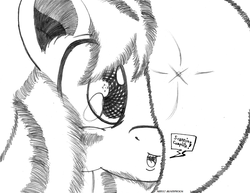 Size: 1292x1000 | Tagged: safe, artist:ikuntyphoon, oc, oc only, earth pony, pony, charu, close-up, scan, sketch