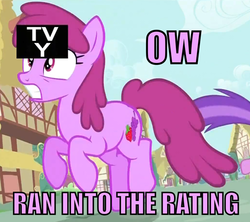 Size: 500x444 | Tagged: artist needed, safe, edit, edited screencap, screencap, berry punch, berryshine, earth pony, pony, g4, sleepless in ponyville, caption, female, fourth wall, image macro, mare, rating, tv rating, tv-y