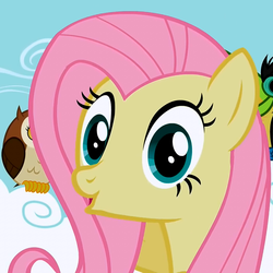 Size: 700x700 | Tagged: safe, fluttershy, bird, owl, g4, photobomb