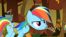 Size: 640x360 | Tagged: safe, screencap, rainbow dash, pegasus, pony, fall weather friends, g4, season 1, animation error, female, great moments in animation, headless, mare, modular, rope, solo, wat