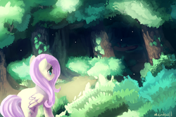 Size: 1350x900 | Tagged: safe, artist:mewball, fluttershy, g4, everfree forest, female, forest, solo