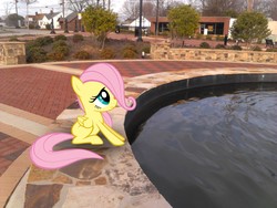 Size: 2048x1536 | Tagged: safe, artist:tokkazutara1164, fluttershy, g4, filly, fountain, houses, ponies in real life, street, vector