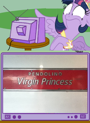 Size: 1022x1400 | Tagged: safe, twilight sparkle, alicorn, pony, g4, exploitable meme, female, mare, train, tv meme, twilight sparkle (alicorn)