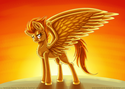 Size: 900x642 | Tagged: safe, artist:inuhoshi-to-darkpen, spitfire, pegasus, pony, g4, backlighting, female, solo, spread wings, wings