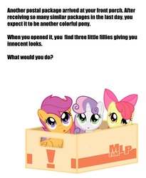 Size: 809x988 | Tagged: safe, apple bloom, scootaloo, sweetie belle, earth pony, pony, g4, box, bronybait, cutie mark crusaders, pony in a box, question, text