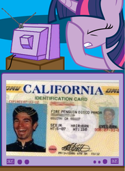 Size: 563x771 | Tagged: safe, twilight sparkle, g4, exploitable meme, facehoof, fire penguin disco panda, id card, meme, name, tv meme