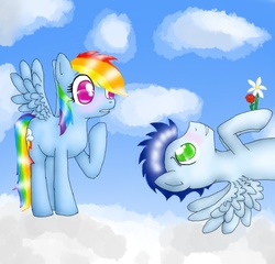 Size: 625x600 | Tagged: safe, artist:goldenchamomile, rainbow dash, soarin', g4, female, flower, male, ship:soarindash, shipping, straight