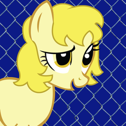 Size: 600x600 | Tagged: safe, oc, oc only, oc:golden brisk, colt, costanza face, face, implying, ishygddt, male, parody, reaction image, solo, trap