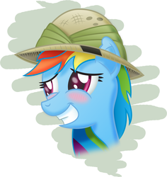 Size: 1280x1357 | Tagged: safe, artist:gray--day, rainbow dash, pegasus, pony, g4, blushing, female, hat, mare, pith helmet, solo