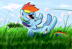 Size: 3018x2064 | Tagged: dead source, safe, artist:tkc, rainbow dash, g4, female, filly, solo