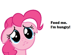 Size: 646x462 | Tagged: safe, pinkie pie, g4, bronybait, female, fourth wall, hungry, sad, solo, text