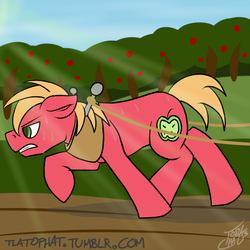 Size: 1024x1024 | Tagged: safe, artist:tlatophat, big macintosh, earth pony, pony, g4, 30 minute art challenge, male, solo, stallion, sweat