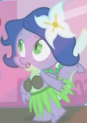 Size: 384x540 | Tagged: safe, screencap, spike, dragon, g4, season 1, the ticket master, clothes, coconut, coconut bikini, cropped, crossdressing, flower, grass skirt, hula, outfit catalog, solo, wig