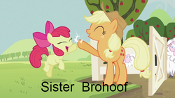 Size: 640x360 | Tagged: safe, edit, edited screencap, screencap, apple bloom, applejack, sheep, g4, sisterhooves social, duo, high five, hoofbump