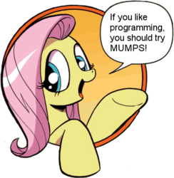 Size: 421x431 | Tagged: safe, idw, fluttershy, friendship is magic #3, g4, my little pony: friendship is magic (idw), bad advice fluttershy, exploitable meme, female, meme, mumps, programming, solo