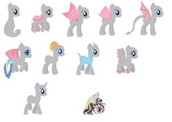 Size: 1062x752 | Tagged: safe, dracony, fairy pony, flutter pony, phoenix pony, pony, sea pony, unicorn, generic pony, mountain pony, pony island, shell pony, simple background, valkyrie, white background