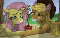 Size: 936x595 | Tagged: safe, artist:colorlesscupcake, applejack, fluttershy, g4, bandaid, duo, gag, tape gag, tree