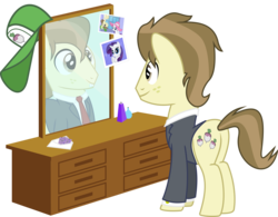 Size: 6000x4686 | Tagged: safe, artist:masem, idw, hayseed turnip truck, rarity, earth pony, pony, g4, absurd resolution, hat, idw showified, male, mirror, rariseed, reflection, shipping, simple background, stallion, transparent background, vector