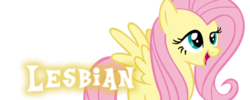 Size: 500x200 | Tagged: safe, fluttershy, g4, female, lesbian, meta