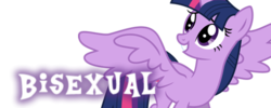 Size: 500x200 | Tagged: safe, twilight sparkle, alicorn, pony, g4, bilight sparkle, bisexuality, female, mare, meta, simple background, solo, transparent background, twilight sparkle (alicorn)