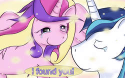 Size: 1000x625 | Tagged: dead source, safe, artist:jencita, princess cadance, shining armor, g4, crying