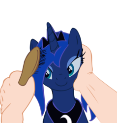 Size: 2912x3064 | Tagged: safe, artist:kalaverapastillera, artist:tg-0, princess luna, human, pony, g4, brush, brushie, hand, simple background, transparent background