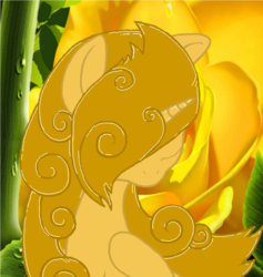 Size: 440x465 | Tagged: safe, artist:princess amity, oc, oc only, alicorn, pony, alicorn oc, flower, rose