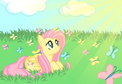 Size: 1275x881 | Tagged: safe, artist:ohemo, fluttershy, butterfly, g4, cloud, crepuscular rays, day, field, full body, grass, looking up, lying down, prone, side view, sunlight