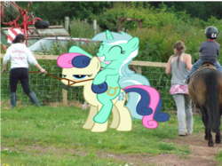 Size: 550x412 | Tagged: safe, edit, bon bon, lyra heartstrings, sweetie drops, horse, human, g4, bon bon is not amused, irl, irl horse, irl human, lyra riding bon bon, photo, ponies in real life, ponies riding ponies, riding, riding a pony