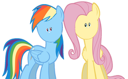 Size: 1134x704 | Tagged: safe, edit, fluttershy, rainbow dash, g4, may the best pet win, flottorshoy, ronbow dosh, shrunken face, woll smoth
