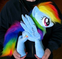 Size: 1024x973 | Tagged: dead source, safe, artist:epicrainbowcrafts, rainbow dash, human, pegasus, pony, g4, 2013, artifact, female, hand, irl, mare, photo, plushie