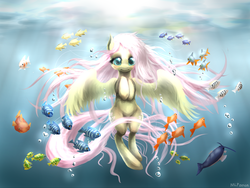 Size: 3000x2250 | Tagged: dead source, safe, artist:mlpanon, fluttershy, fish, pegasus, pony, g4, female, flowing mane, solo, underwater, watershy