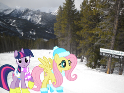 Size: 640x480 | Tagged: safe, artist:caboosinator, artist:moongazeponies, fluttershy, twilight sparkle, human, pegasus, pony, unicorn, boots, clothes, hat, saddle, scarf, skiing, snow, tack, tree, vector