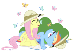 Size: 900x643 | Tagged: safe, artist:dm29, fluttershy, rainbow dash, butterfly, pegasus, pony, g4, bored, duo, female, happy, mare, simple background, transparent background