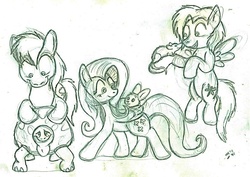 Size: 1178x836 | Tagged: safe, artist:wahyawolf, angel bunny, fluttershy, rainbow dash, tank, oc, oc:dragonfly, pegasus, pony, rabbit, rat, tortoise, g4, animal, female, looking at each other, looking at someone, mare, monochrome, pets, simple background, sketch, smiling, traditional art, white background