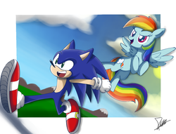 Size: 1237x945 | Tagged: safe, artist:the-butch-x, rainbow dash, pegasus, pony, g4, crossover, duo, male, sonic the hedgehog, sonic the hedgehog (series)