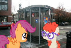 Size: 800x536 | Tagged: safe, scootaloo, twist, g4, bad pun, glasses, loo, ponies in real life